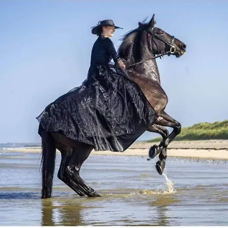 Ecuries Leseigneur - Insolites 캠프장 *