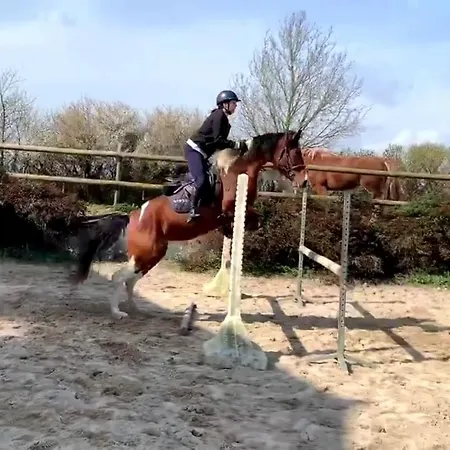 Ecuries Leseigneur - Insolites * Bolleville (Manche)