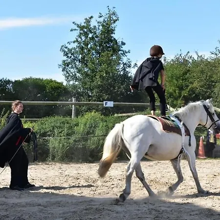 Parque de Campismo Ecuries Leseigneur - Insolites
