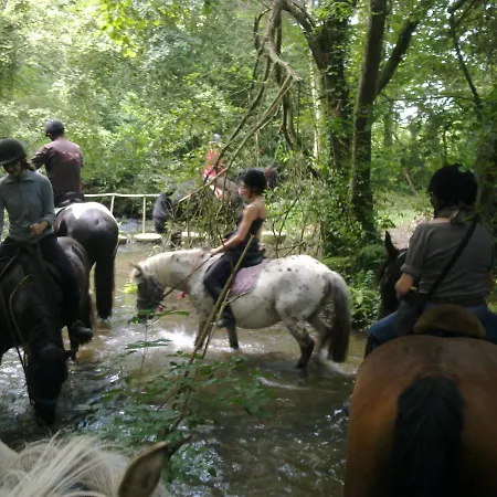 キャンプ場 Ecuries Leseigneur - Insolites ボワシエール