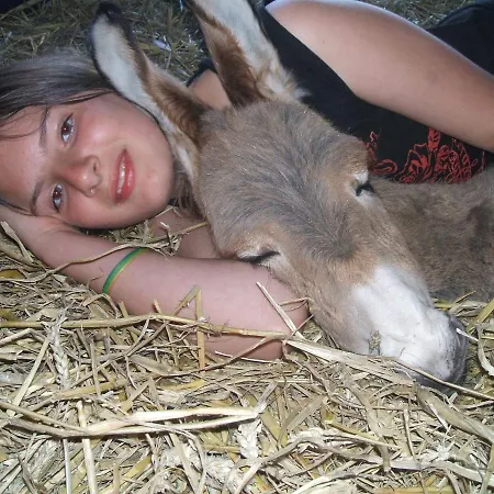 Ecuries Leseigneur - Insolites