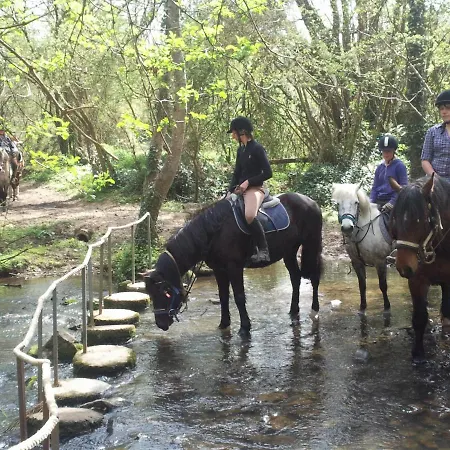 Ecuries Leseigneur - Insolites ボワシエール