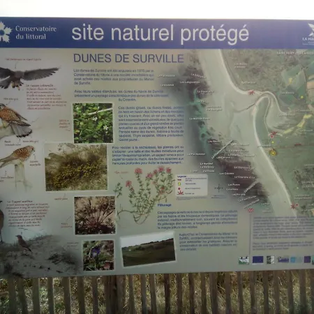 캠프장 Ecuries Leseigneur - Insolites Bolleville (Manche)