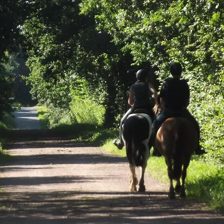 캠프장 Ecuries Leseigneur - Insolites Bolleville (Manche)