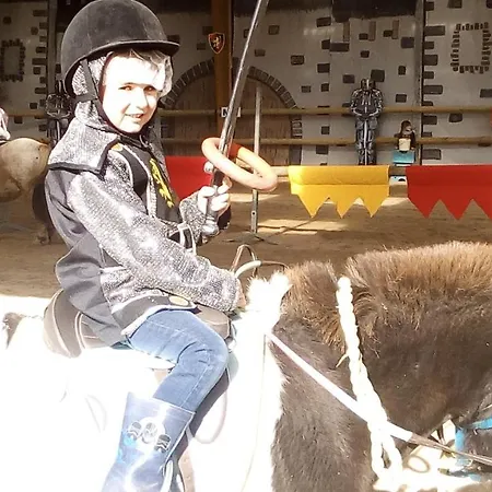 Ecuries Leseigneur - Insolites