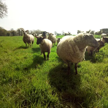 캠프장 Ecuries Leseigneur - Insolites Bolleville (Manche)