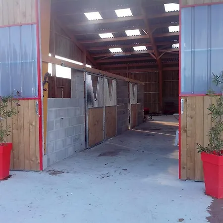 Ecuries Leseigneur - Insolites 캠프장