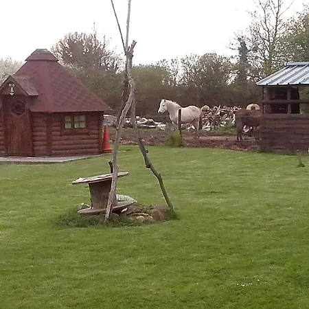 艾库里斯茵索利特营地旅馆 营地