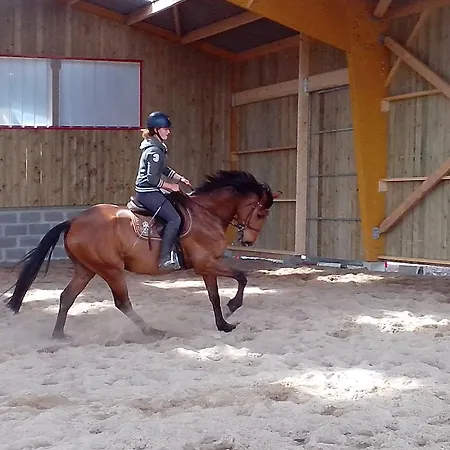 艾库里斯茵索利特营地旅馆 营地 Bolleville (Manche)