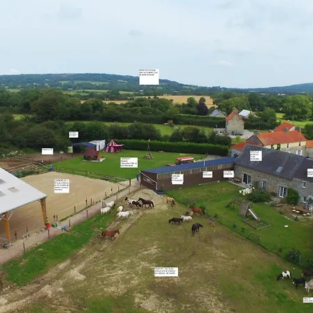 Ecuries Leseigneur - Insolites