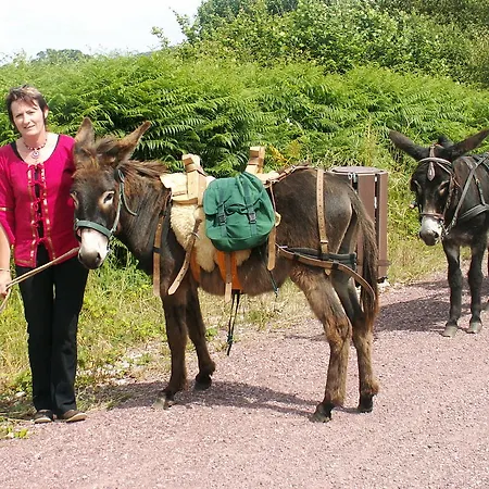 캠프장 Ecuries Leseigneur - Insolites