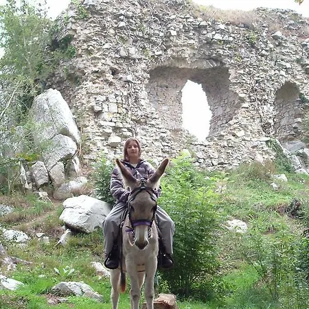 营地 艾库里斯茵索利特营地旅馆 Bolleville (Manche)