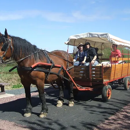 キャンプ場 Ecuries Leseigneur - Insolites