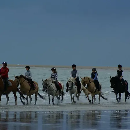 Ecuries Leseigneur - Insolites *