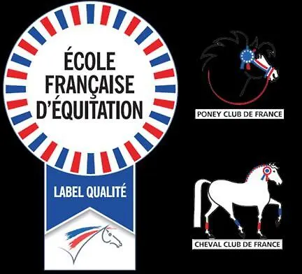 Ecuries Leseigneur - Insolites 캠프장