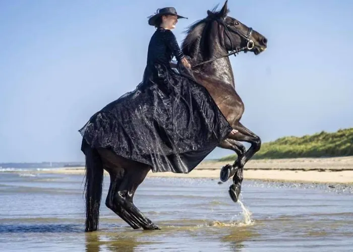 Ecuries Leseigneur - Insolites Campsite *