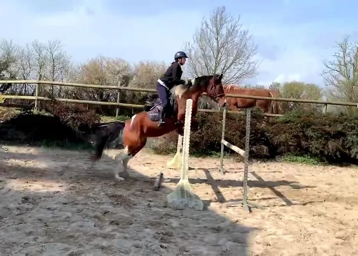 Ecuries Leseigneur - Insolites * Bolleville (Manche)