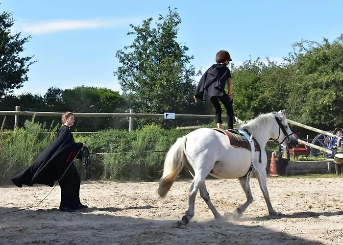 Campsite Ecuries Leseigneur - Insolites