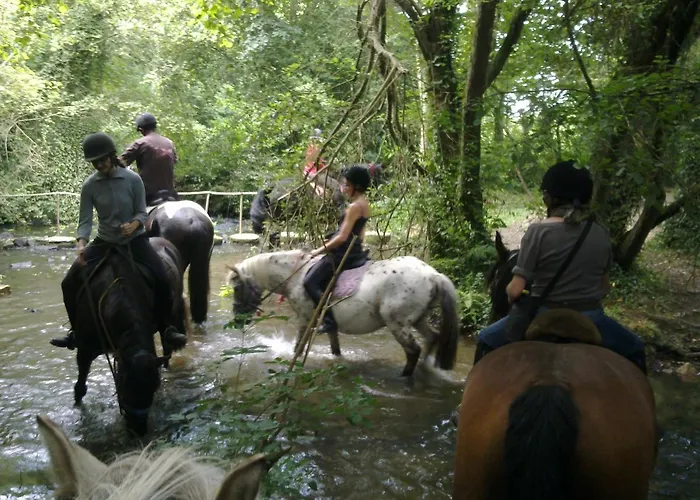 Campsite Ecuries Leseigneur - Insolites Bolleville (Manche)