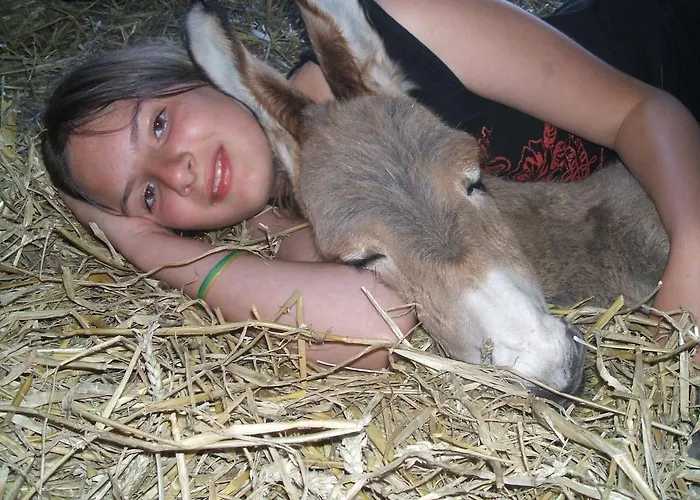 Ecuries Leseigneur - Insolites