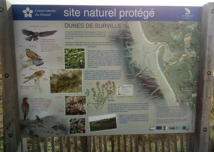 אתר קמפינג Ecuries Leseigneur - Insolites Bolleville (Manche)