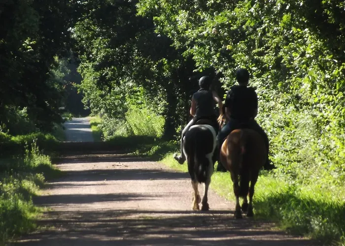 אתר קמפינג Ecuries Leseigneur - Insolites Bolleville (Manche)