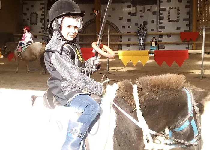 Ecuries Leseigneur - Insolites