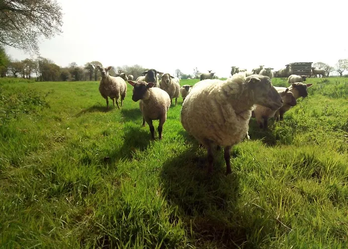 אתר קמפינג Ecuries Leseigneur - Insolites Bolleville (Manche)