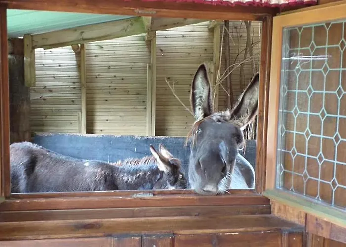 אתר קמפינג Ecuries Leseigneur - Insolites Bolleville (Manche)