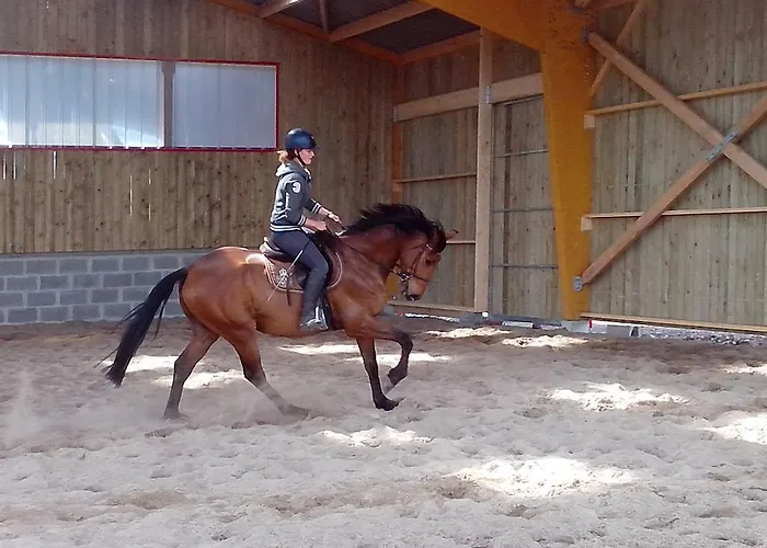 Ecuries Leseigneur - Insolites Campsite Bolleville (Manche)