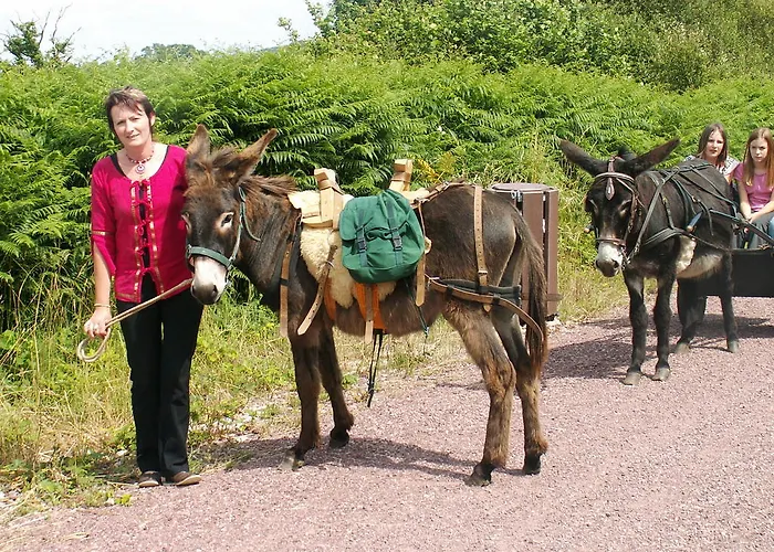 Campsite Ecuries Leseigneur - Insolites