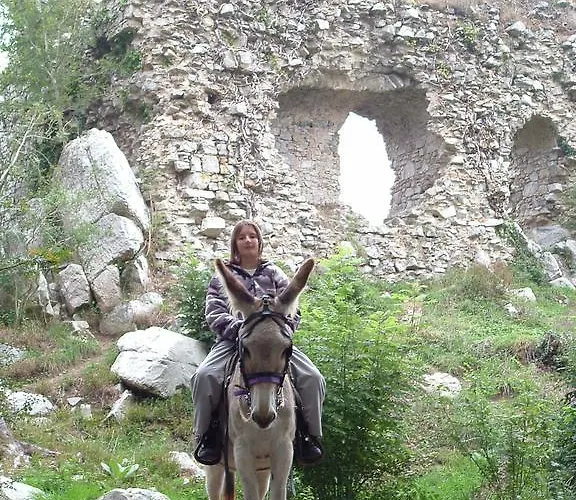 אתר קמפינג Ecuries Leseigneur - Insolites Bolleville (Manche)