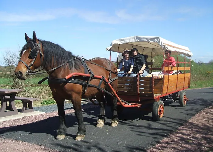 Campsite Ecuries Leseigneur - Insolites