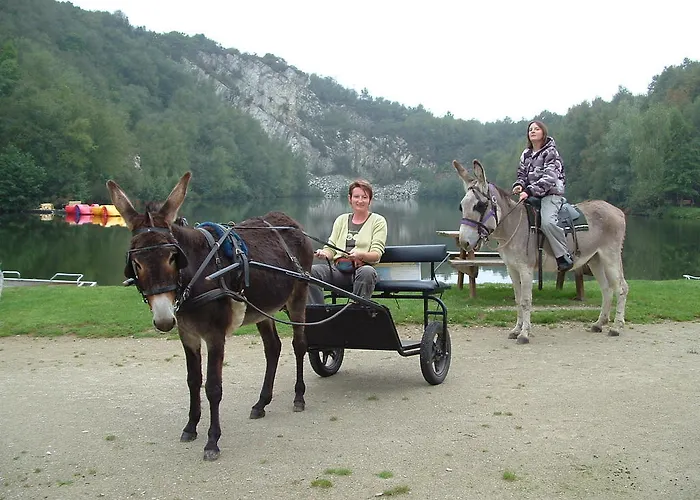 Кемпинг Ecuries Leseigneur - Insolites