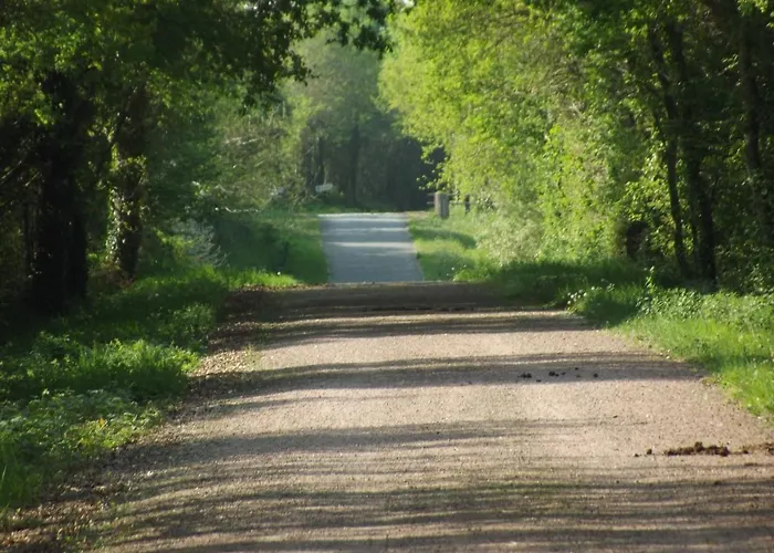 אתר קמפינג Ecuries Leseigneur - Insolites *
