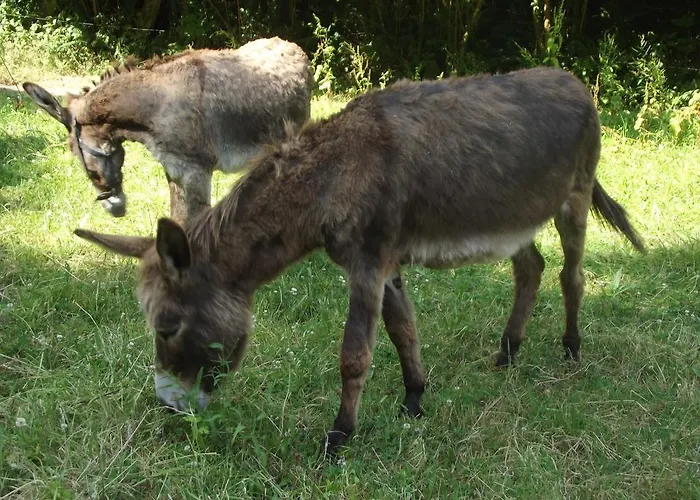Ecuries Leseigneur - Insolites Bolleville (Manche)