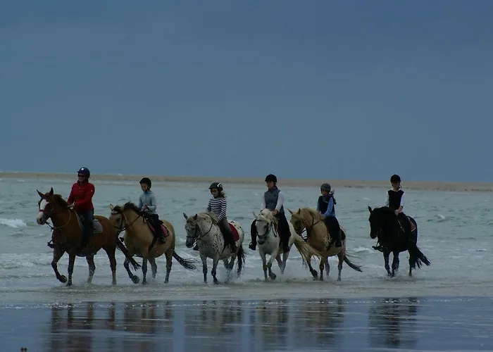 Ecuries Leseigneur - Insolites *