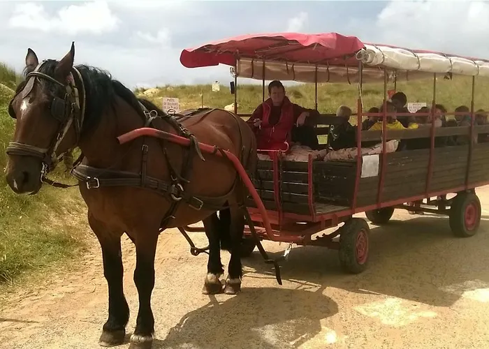 Ecuries Leseigneur - Insolites Bolleville (Manche)