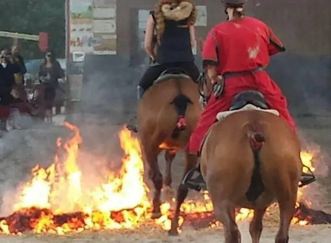 Ecuries Leseigneur - Insolites